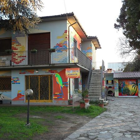 Tropical Bed&Breakfast Lucques Extérieur photo